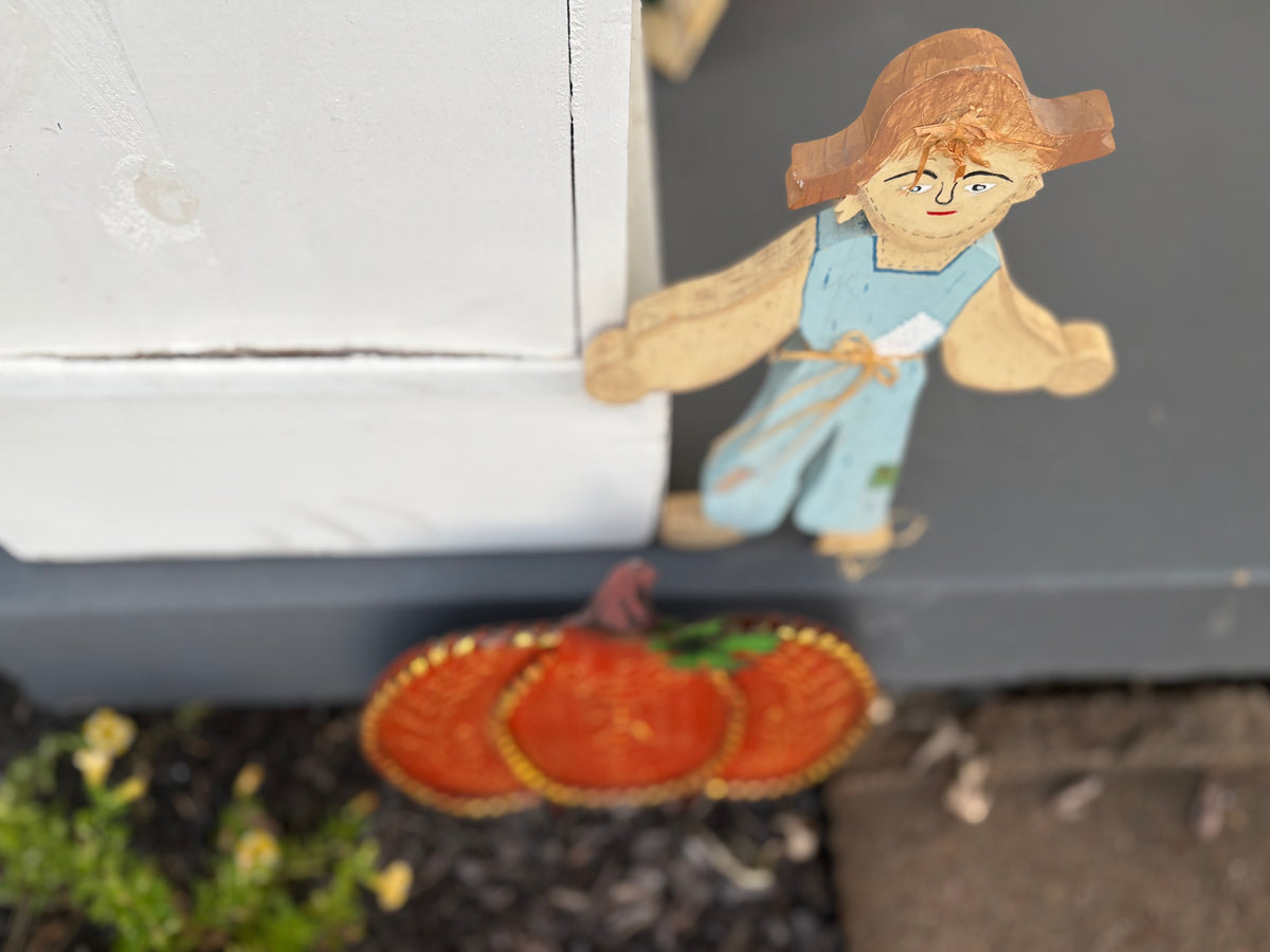A Scarecrow & A Pumpkin