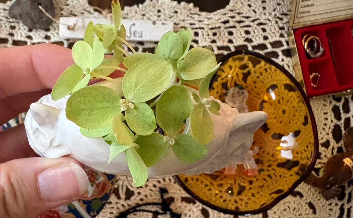 Mini Heart Planter | White Porcelain