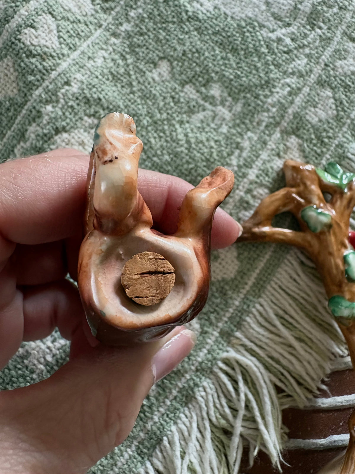 Monkey in a Tree