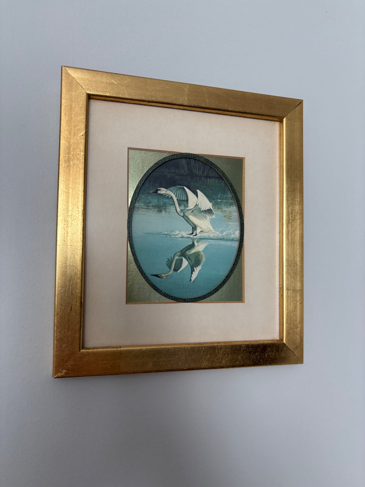 Whistling Swan by Ralph J. McDonald